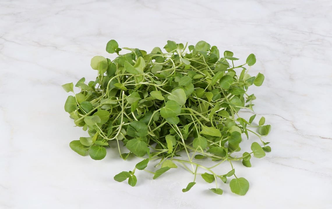 Vertical Farming pioneers Fischer Farms receives TSG certification for Watercress
