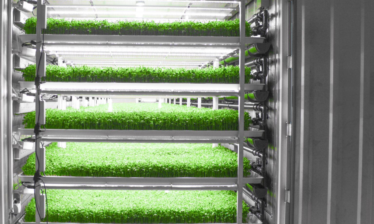Indoor vertical farming facility