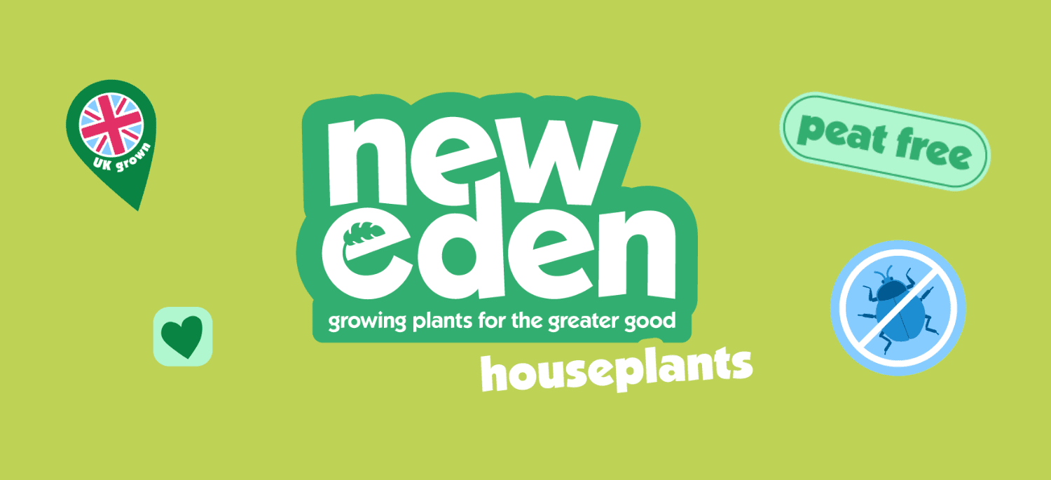 New Eden Plants houseplants - UK grown, peat free, bug free