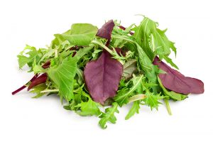 Mix of salad leaves